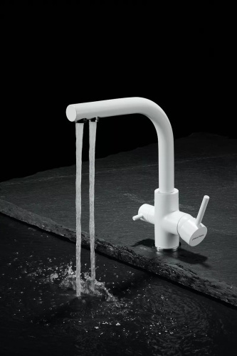 Смеситель PAULMARK ESSEN Es213011-WH