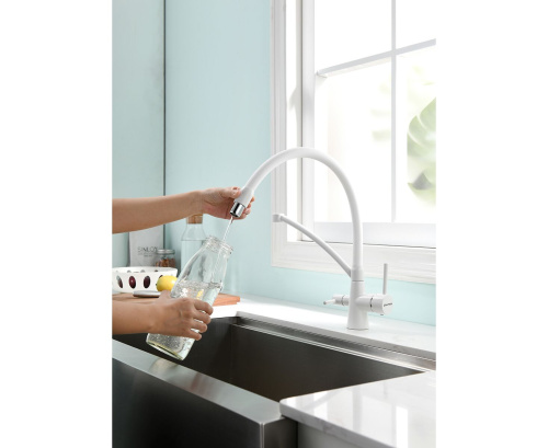Смеситель PAULMARK SIEGEN Si213111-WH